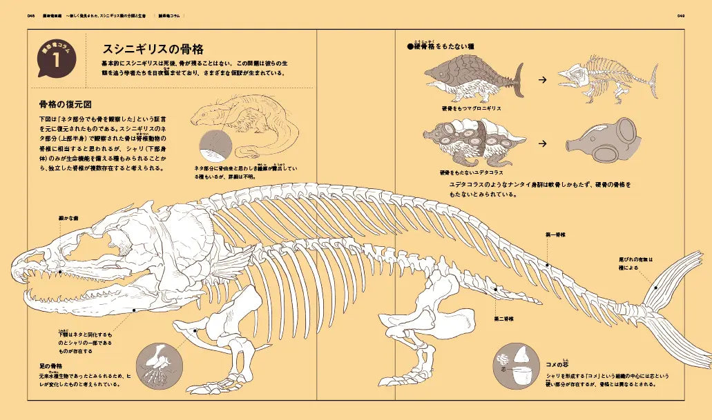 Pseudo-Dinosaur Encyclopedia: The Systematics and Ecology of Sushinigirs by Kumacoro