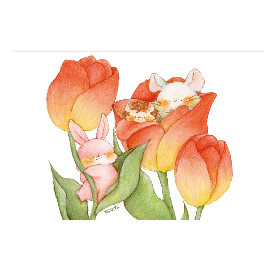 Postcard【komati】