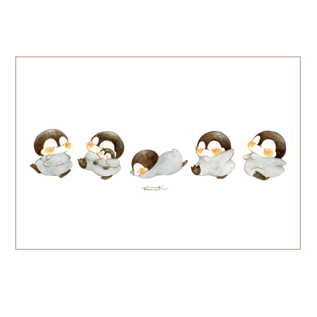 Postcard【komati】