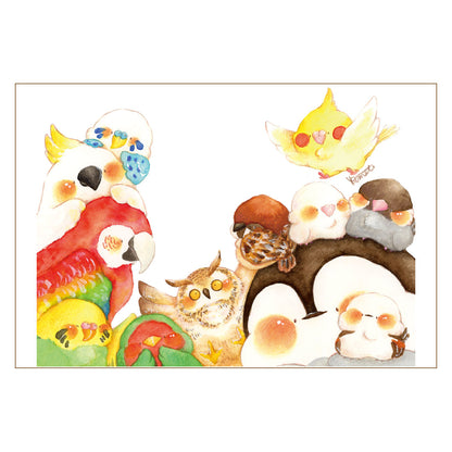 Postcard【komati】