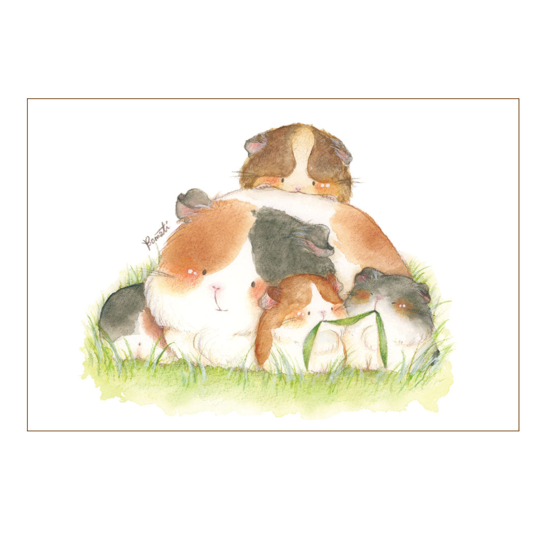 Postcard【komati】