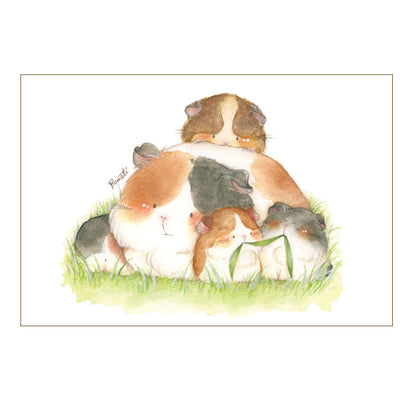 Postcard【komati】