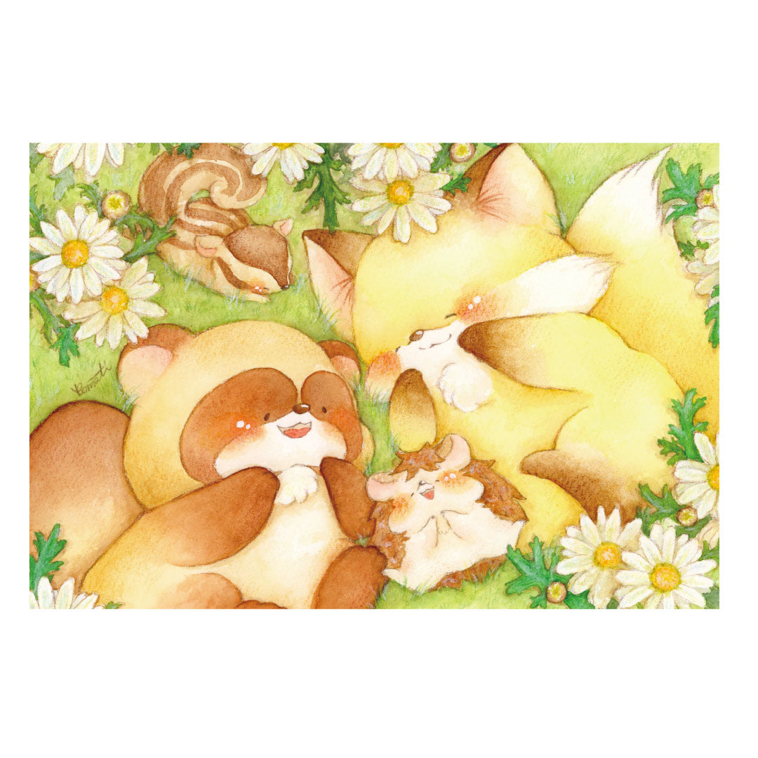 Postcard【komati】