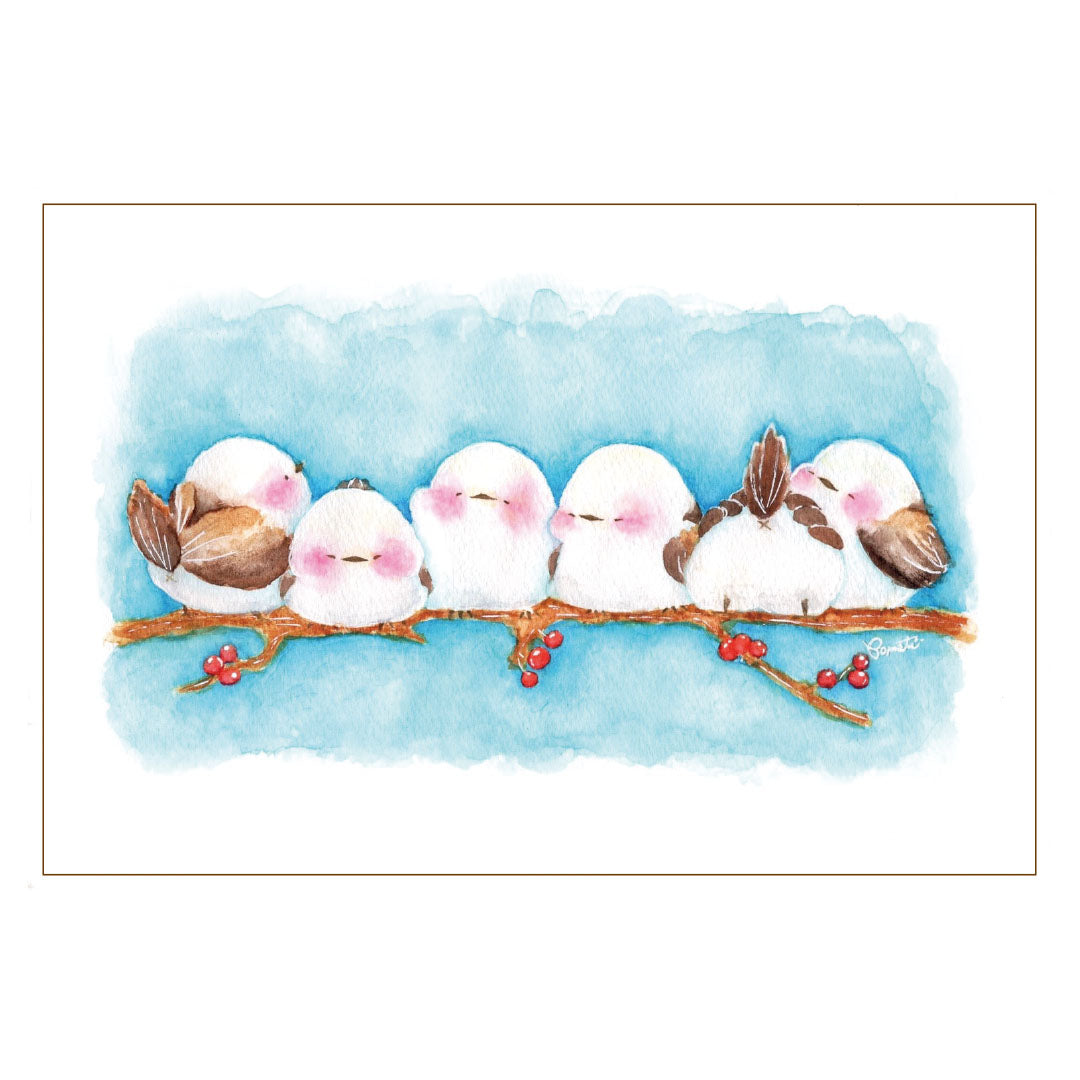 Postcard【komati】