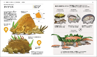 Pseudo-Dinosaur Encyclopedia: The Systematics and Ecology of Sushinigirs by Kumacoro