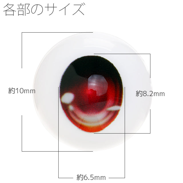 obitsu eye F type 10mm - brown