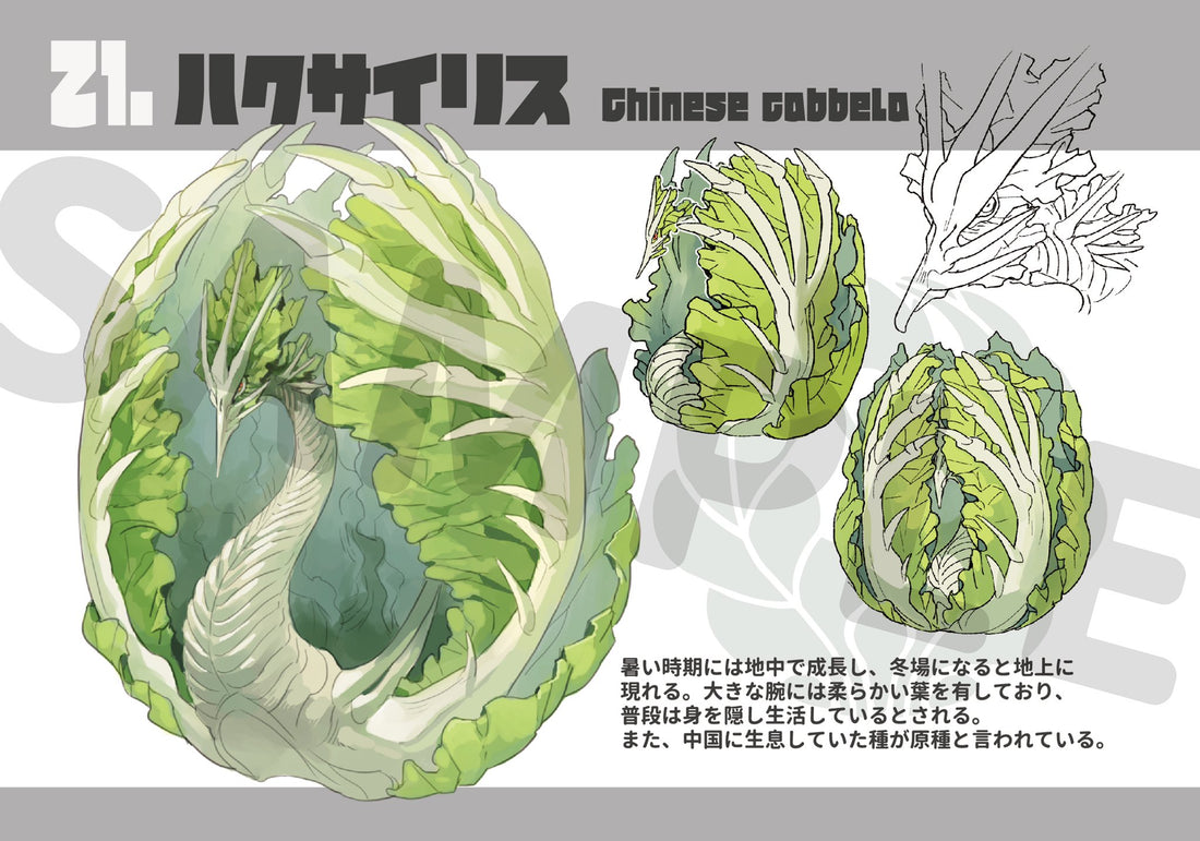 New: VEGETALION Illustrated Book1