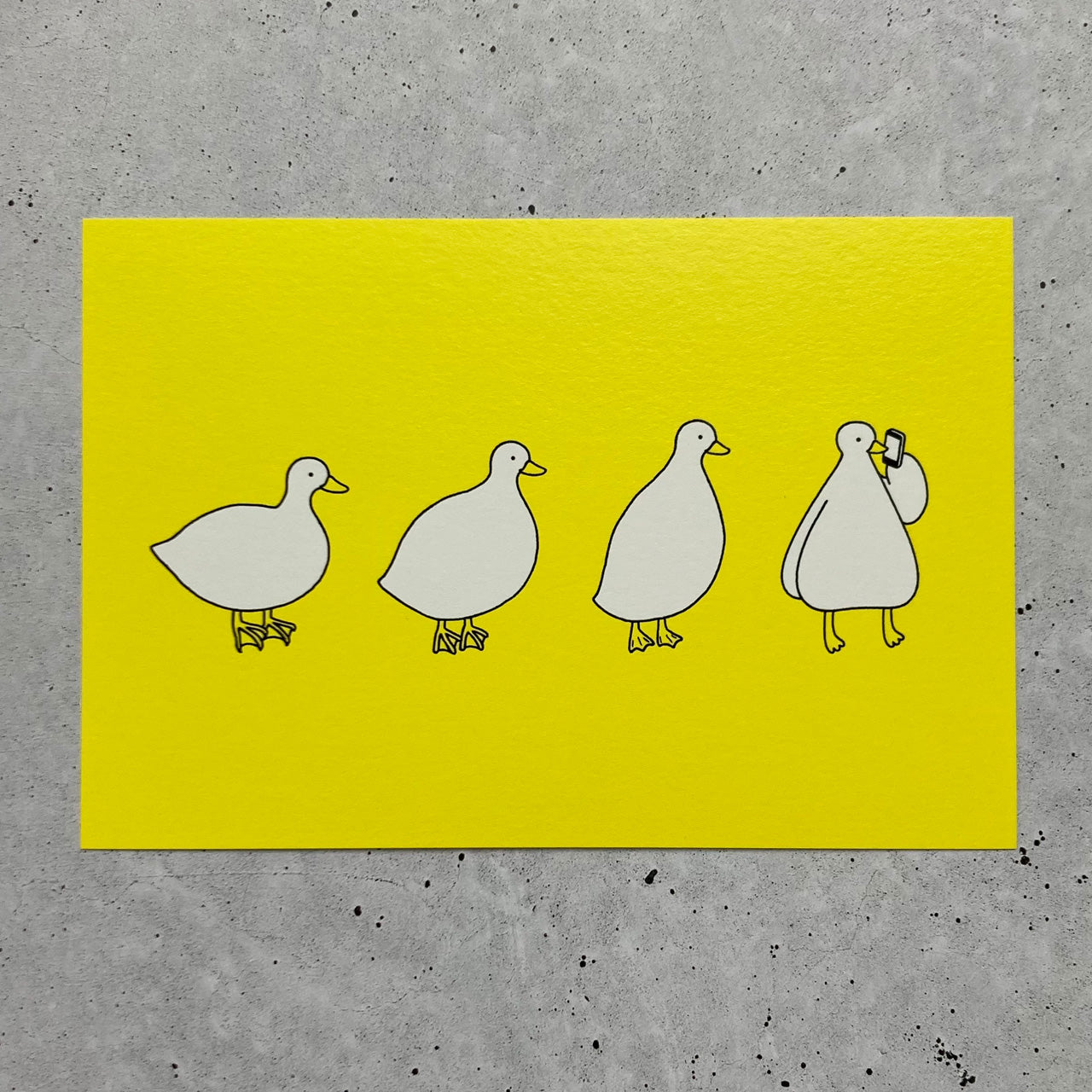 Postcard “Evolution”